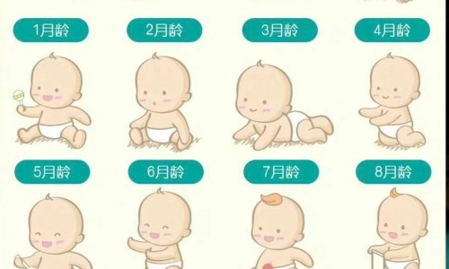 烤箱婴儿食谱-怎么用烤箱做婴儿面包的做法大全图解网-分享烤箱婴儿食谱，烤箱婴儿零食做法大全知识库